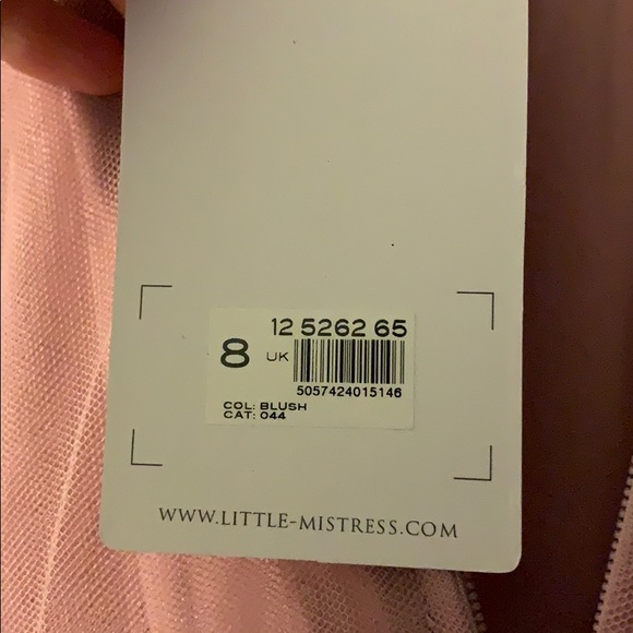 Little Mistress Blush Pink Maxi - Picture 5 of 5